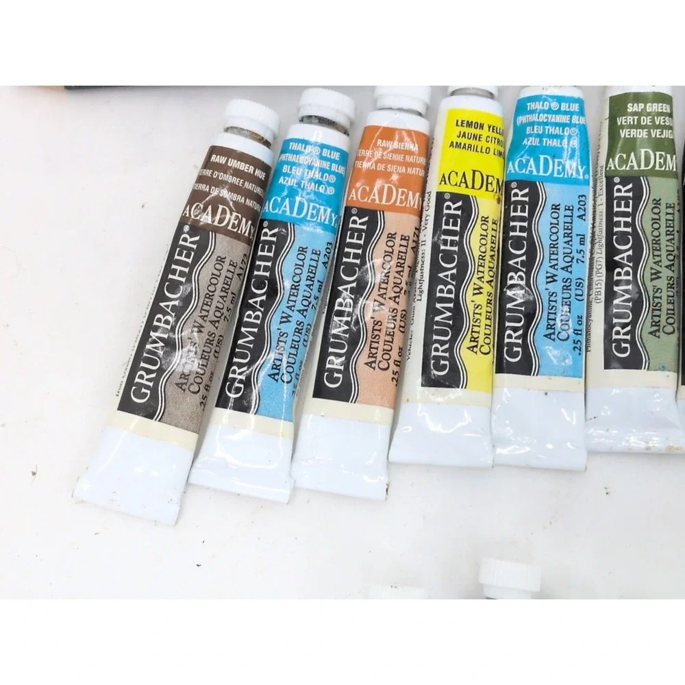 Used Lot of 32 Watercolor Paint  WINSOR NEWTON Grumbacher Cotman Brushes  Used